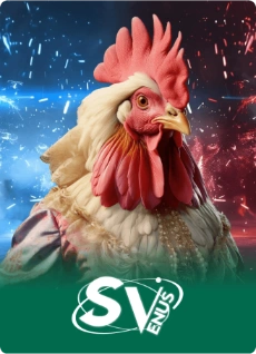 sabong betting at 5Z 777